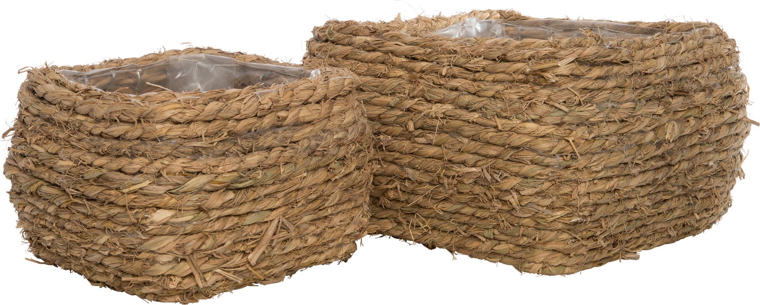 Intratuin plantenmand gras 24 x 24 x 15 cm