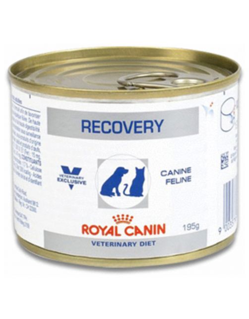 Royal Canin Veterinary Diet Recovery Wet - Honden- en Kattenvoer - 195 g