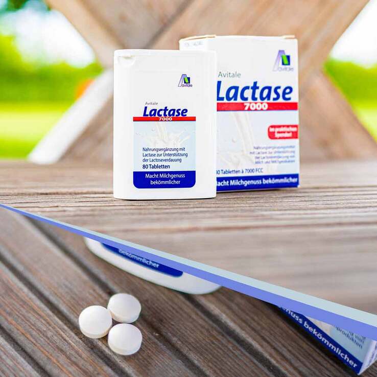 Lactase 7.000 FCC Tabletten im Spender, 80 St
