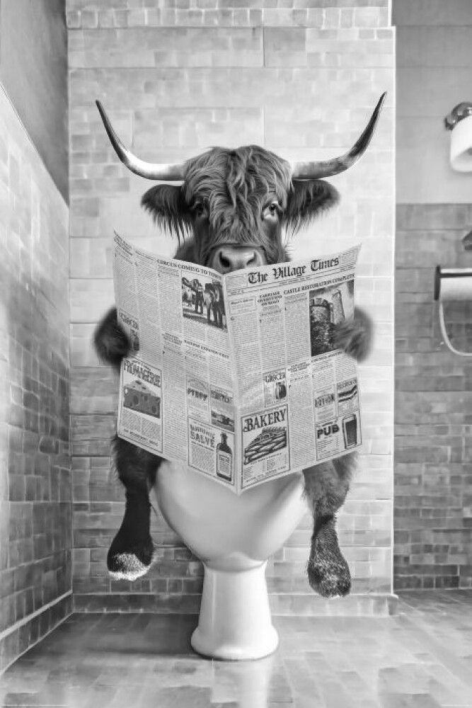 POSTER REINDERS - HIGHLANDER TOILET 015
