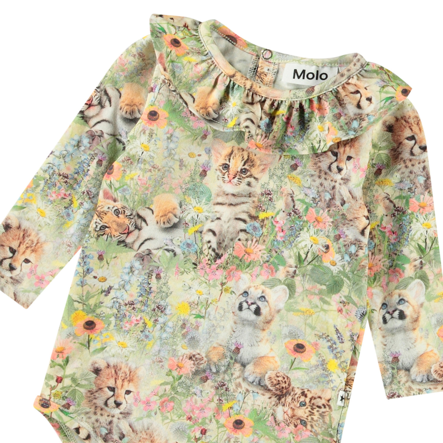 Freya - Meadow Cubs