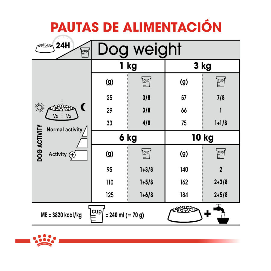 Ração Royal Canin Dental Care Mini para cães