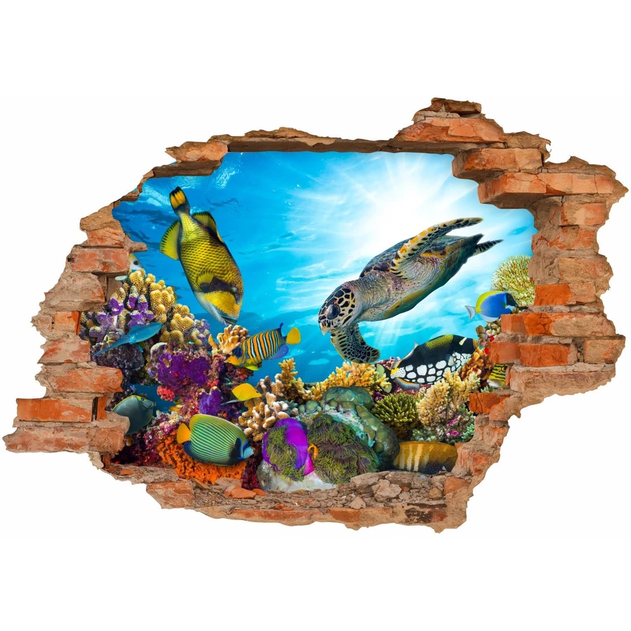 Nikima Wandtattoo 035 Unterwasserwelt - Loch in der Wand in 6 vers. Größen bunt