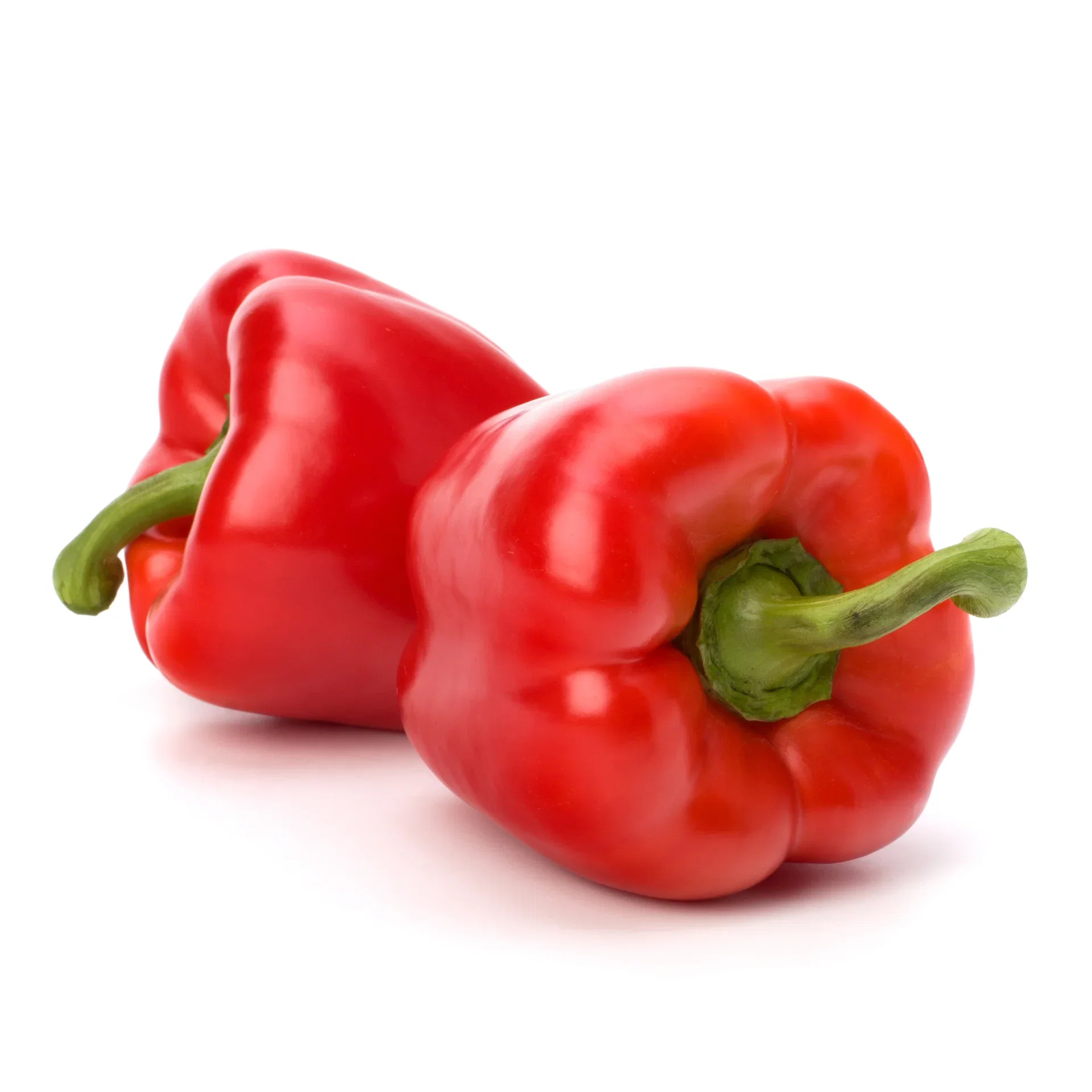 All Nature Capsicum Pepper 'Robertina' 10,5 cm Paprika ‘Robertina’ Ø10,5 cm