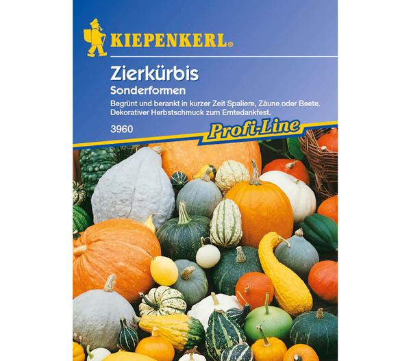 Kiepenkerl Saatgut Zierkürbis Sonderformen