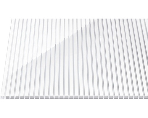 Gutta polycarbonaat meerwandige plaat/wandplaat 20-16 ZEBRAPLATTE wit 2000 mm x 980 mm x 16 mm