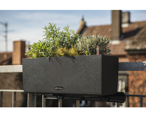 Lechuza Balconera Stone 50 H 19 cm zwarte balkonbak inclusief grondbewateringssysteem