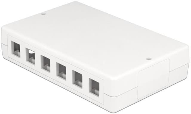 DeLOCK Keystone boks, 12 portar, plast, hvid
