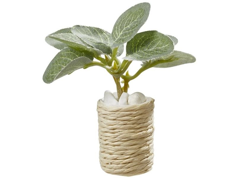 HobbyFun Mini-Utensilien Zimmerpflanze Mini-Figur