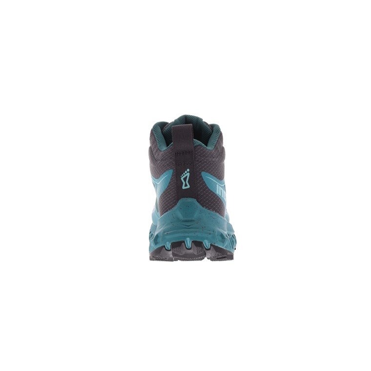 Inov-8 Rocfly g 390 GTX Women