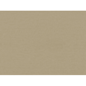 Kleurstaal GAMMA (vouw)gordijnstof Tessa 4791 beige op maat