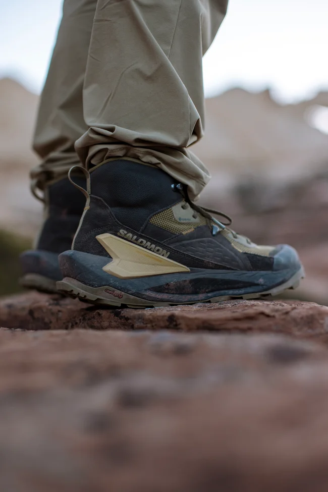 ELIXIR MID GORE-TEX  Hikingschuhe Herren