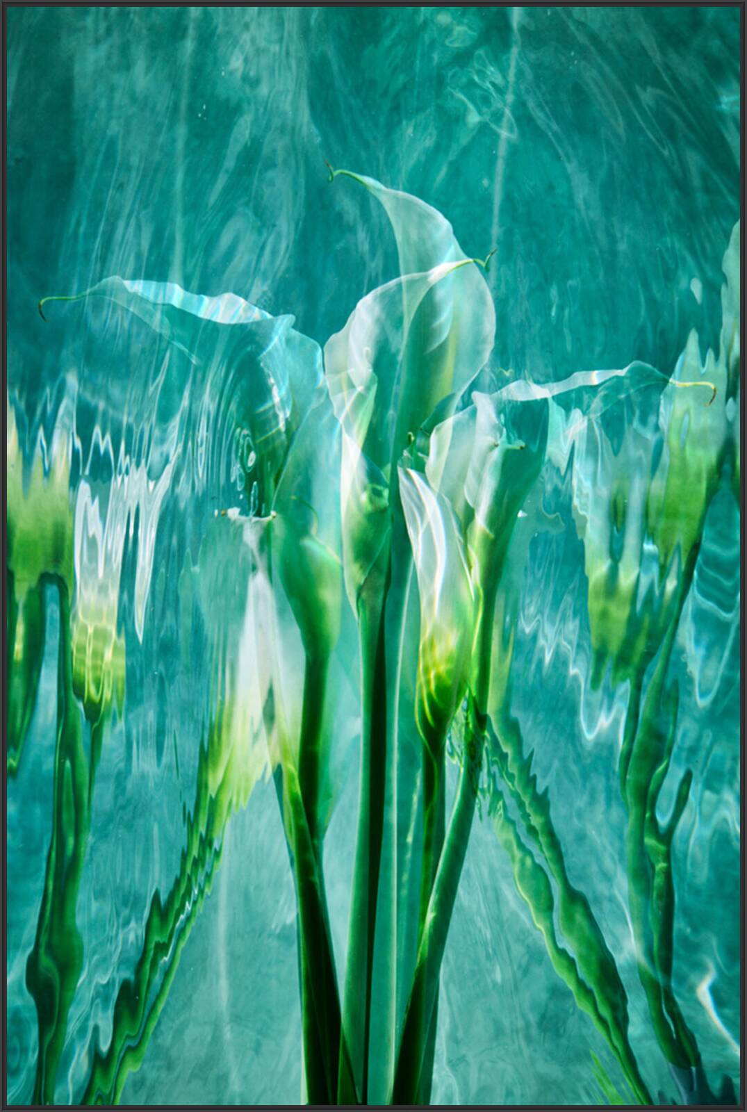 Lilies by Heiko Hellwig - Limited Edition. Edition of: 150. Signed.