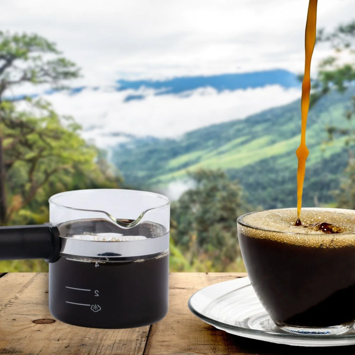Verseuse à expresso micro-ondable 4 tasses universelle Fackelmann