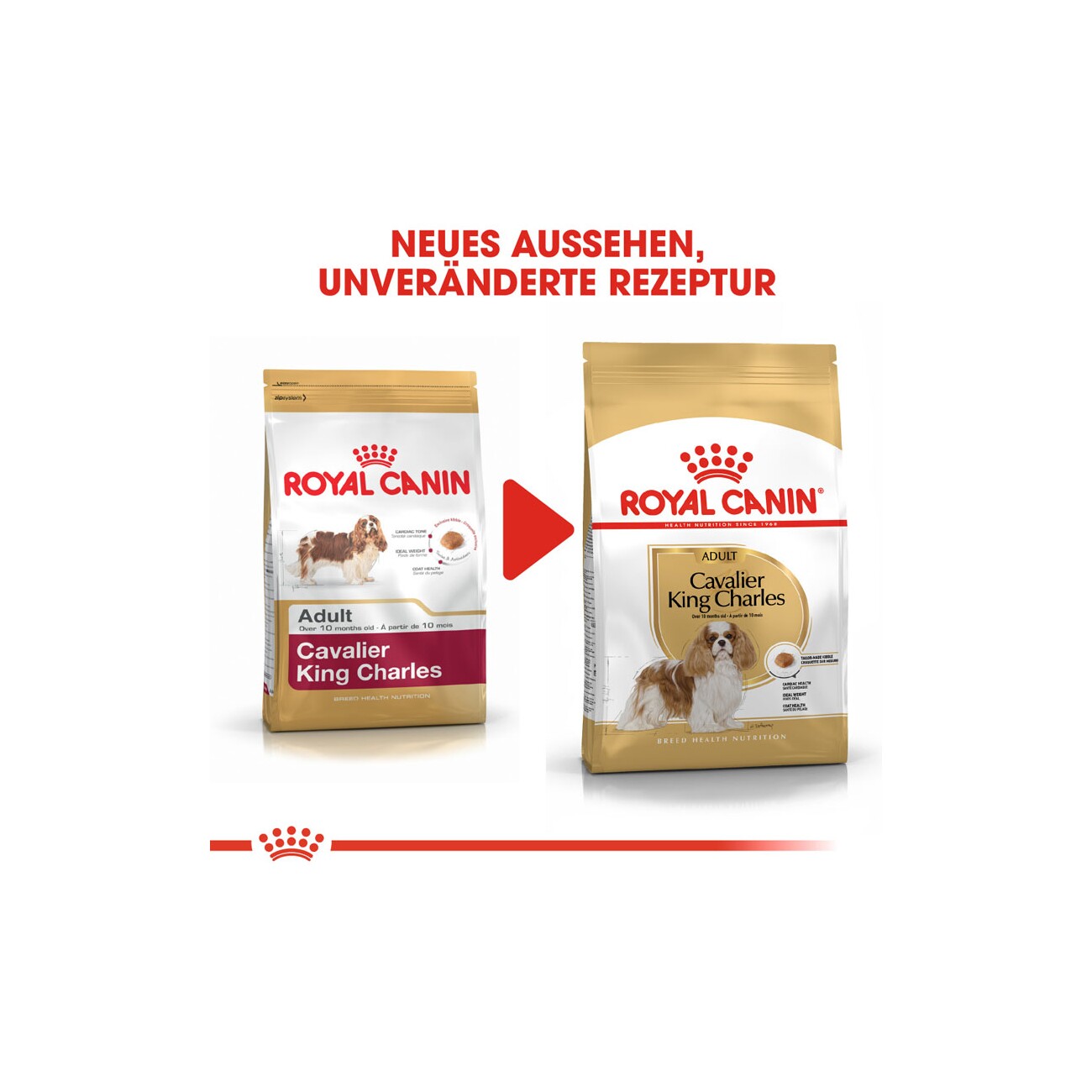 ROYAL CANIN Cavalier King Charles Adult 1,5 kg