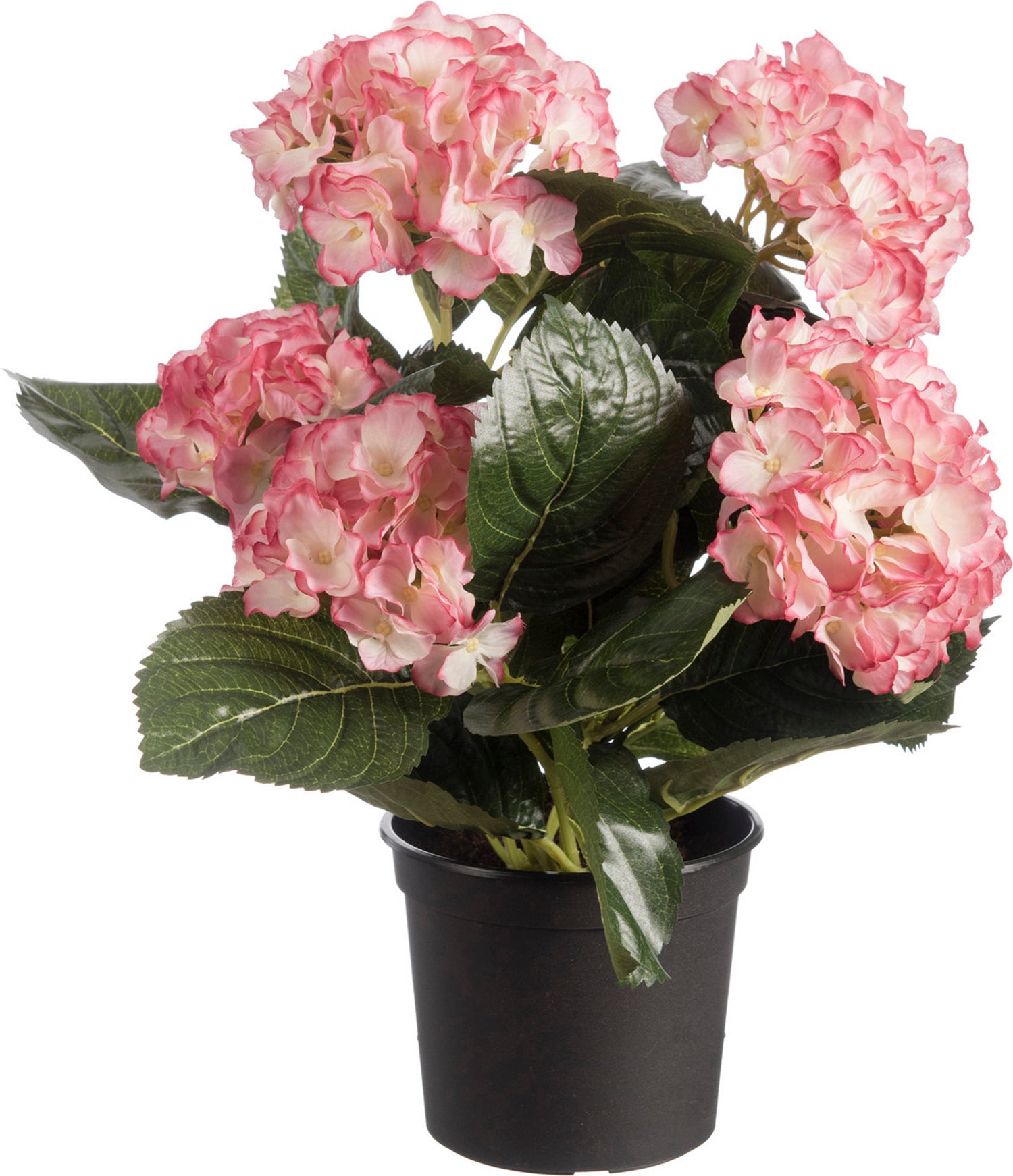 Louis Maes kunstplant Hortensia crème D 24 H 44 cm
