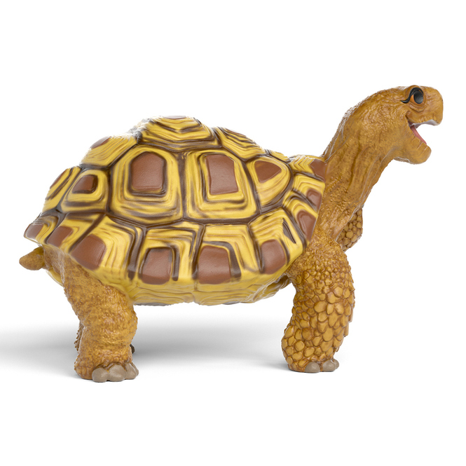 Die Schule der magischen Tiere - Henrietta die Schildkröte - 14910