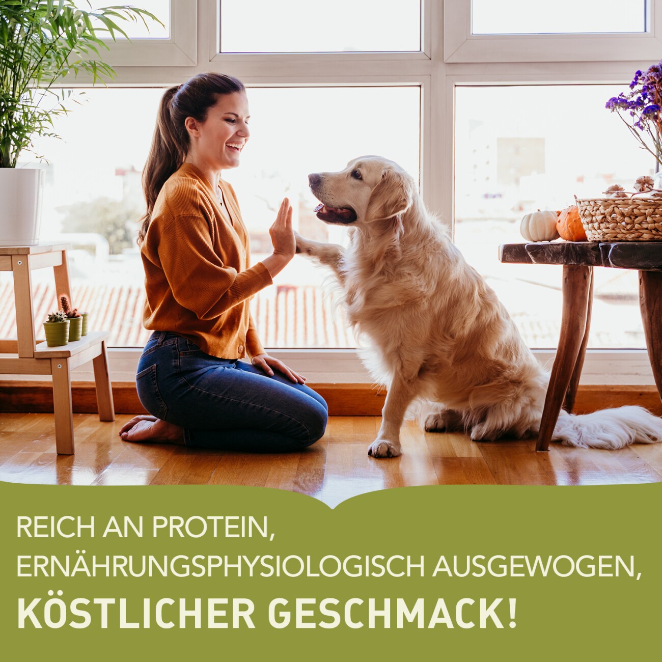 ACANA Grasslands 11,4 kg