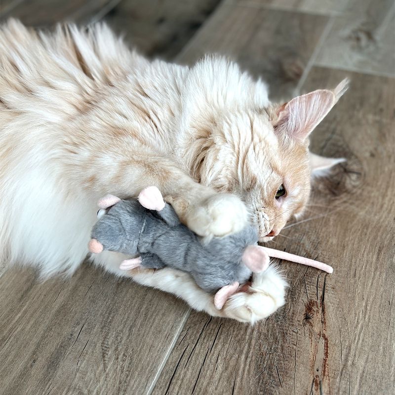 Jouet Aumüller Rat Cédric à la valériane