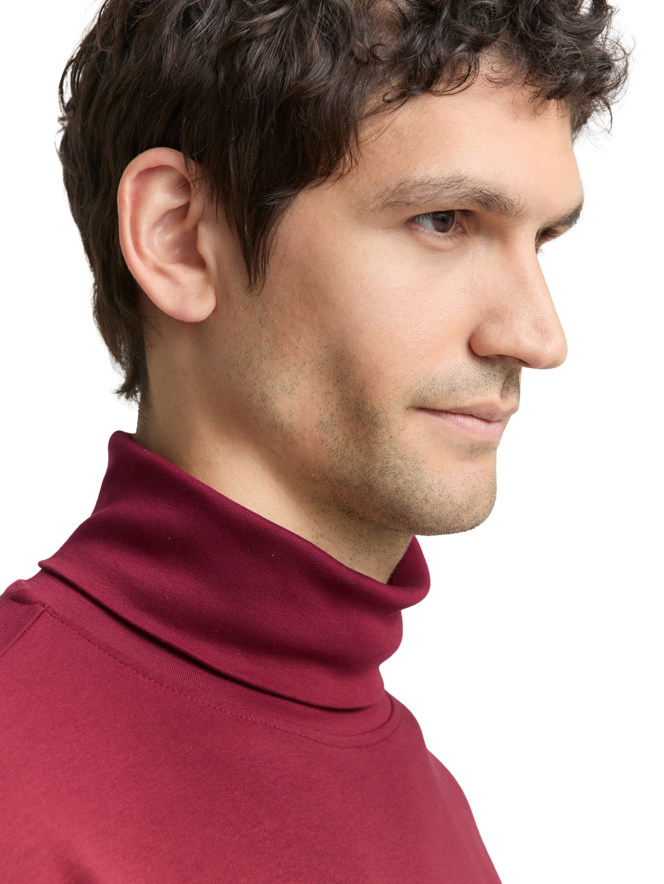 TOM TAILOR Langarmshirt , mit Rollkragen