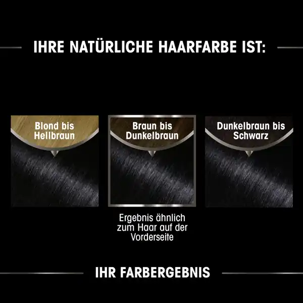 Dauerhafte Haarfarbe Coloration 1.10 Blau Schwarz