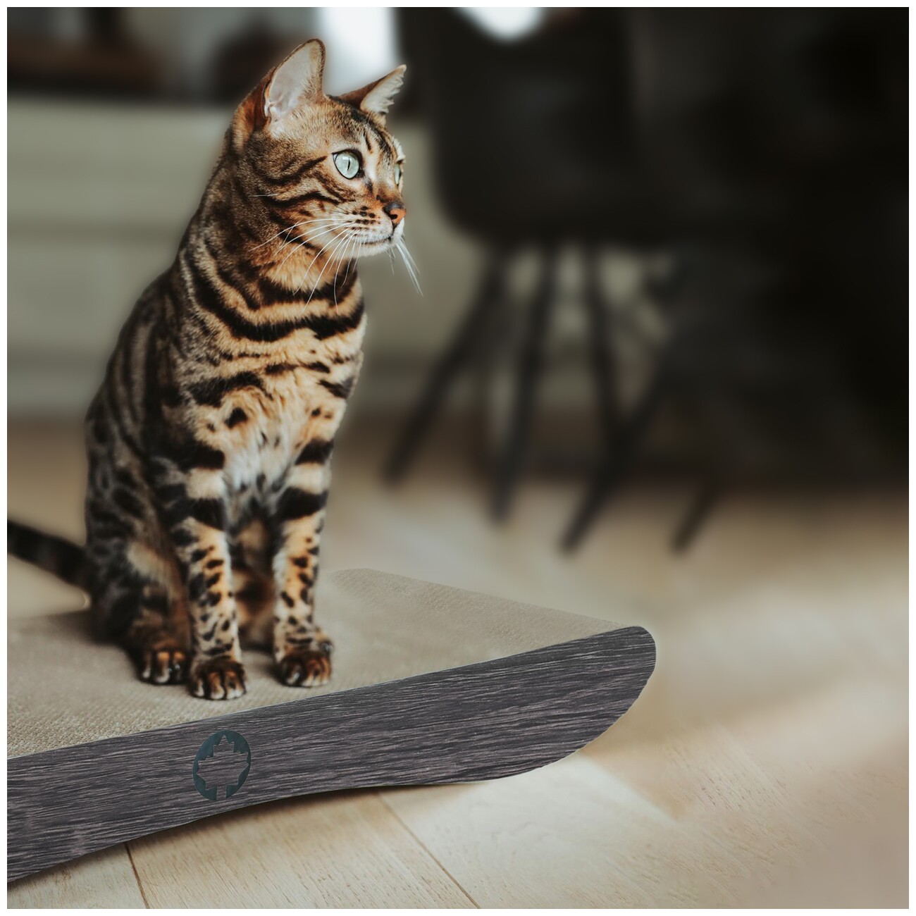 Canadian Cat Company Kratzbrett Comet
