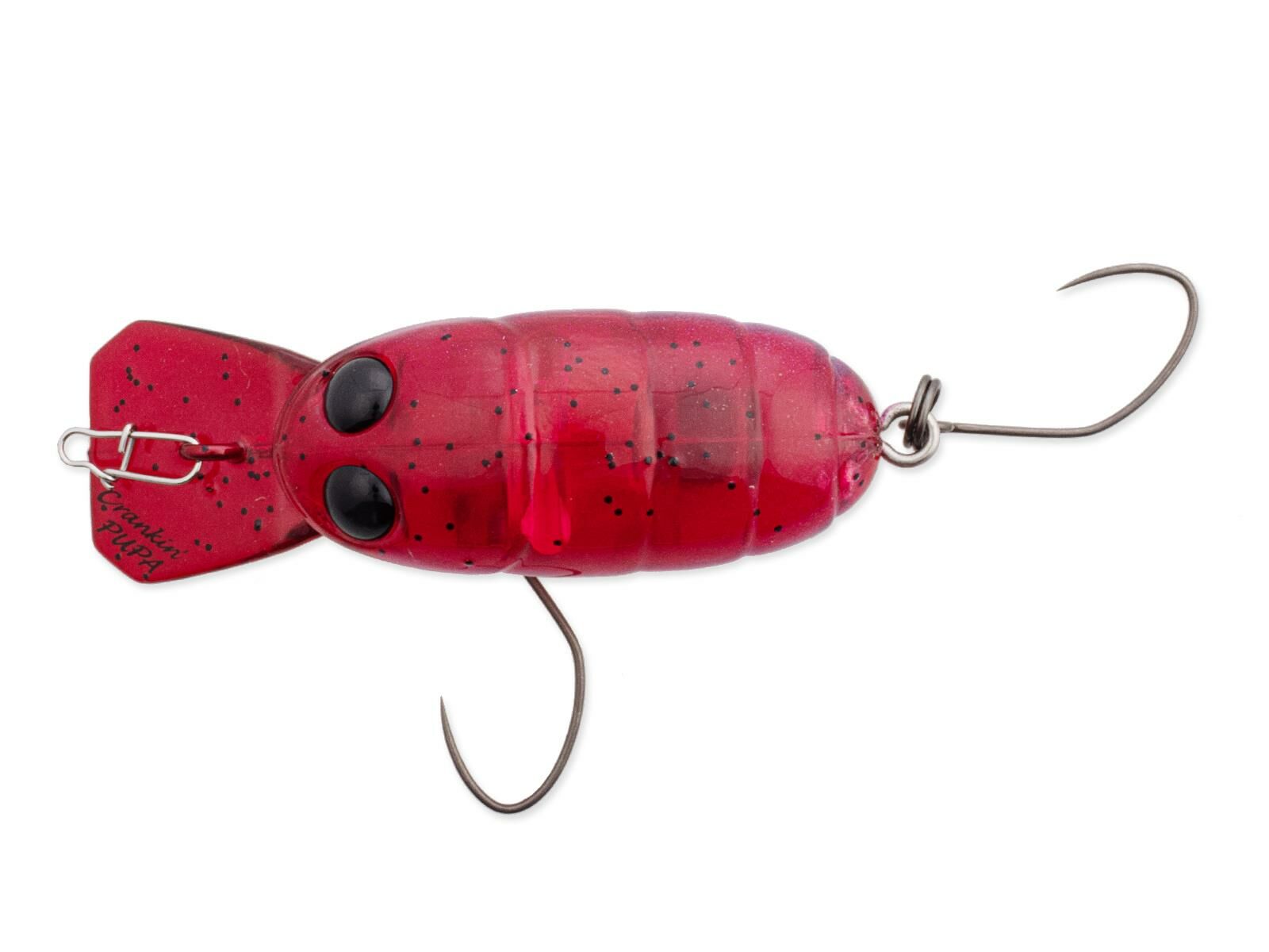 Crankin Pupa (321) Morning Dawn(Nories)