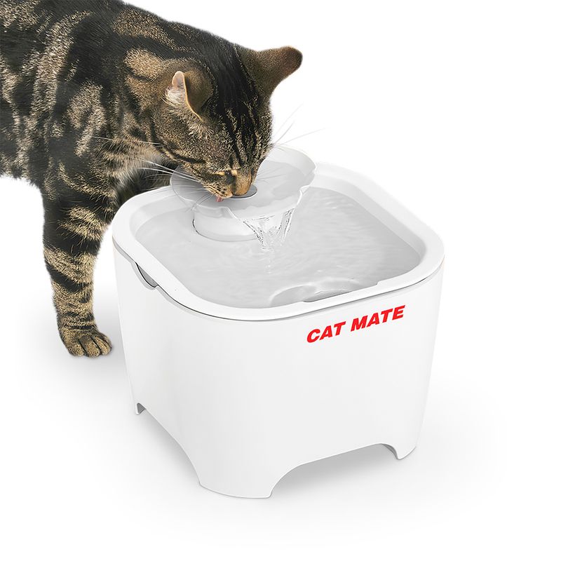 Fontaine à eau Cat Mate Coquillage 3 L