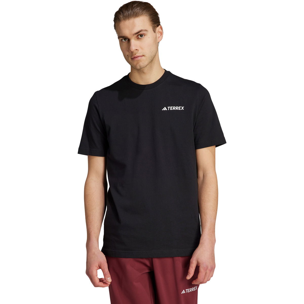 adidas Terrex Graphic Mountain 2.0 T-shirt Herre