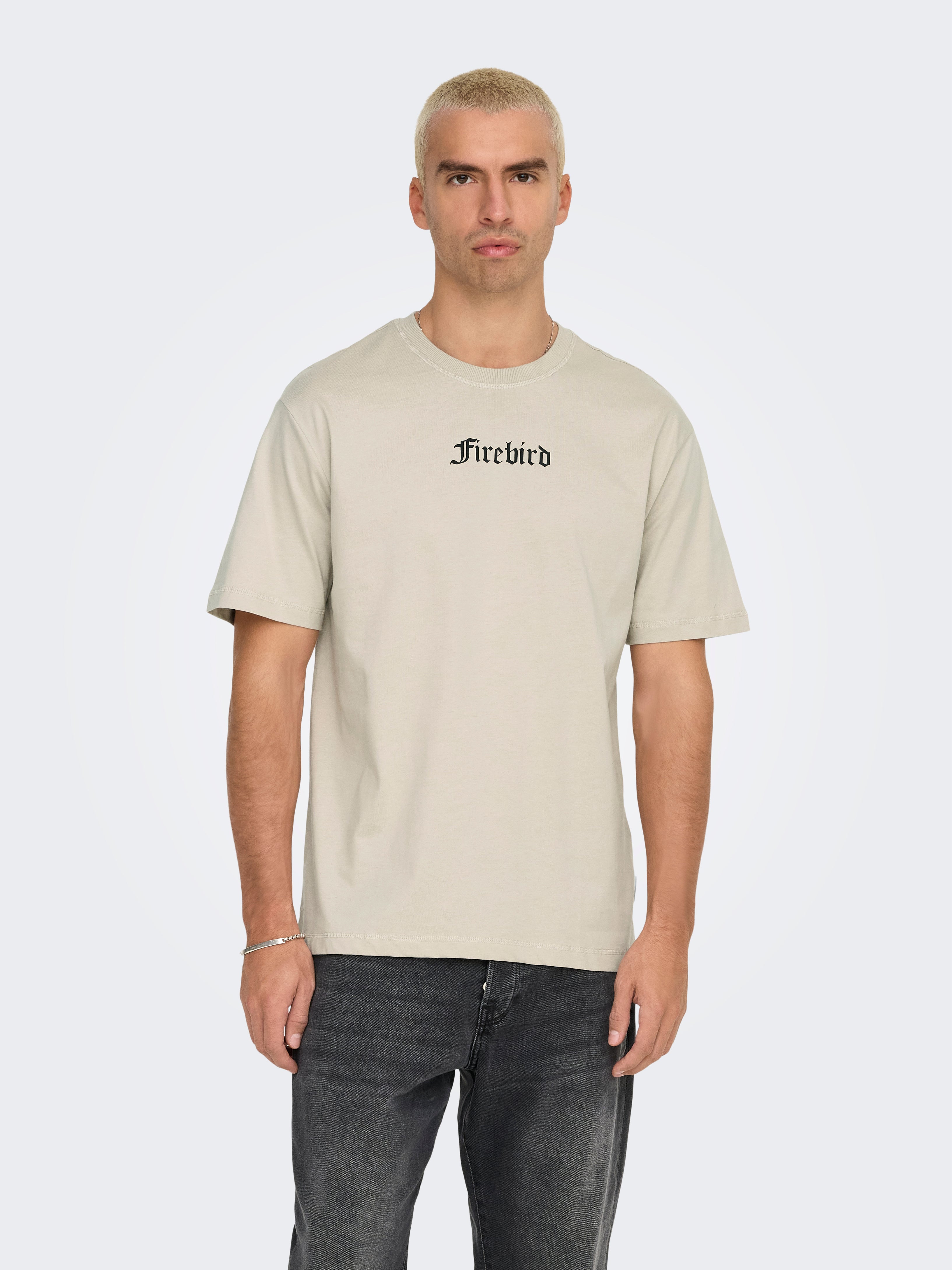 ONSKYLO T-shirt Silver Lining