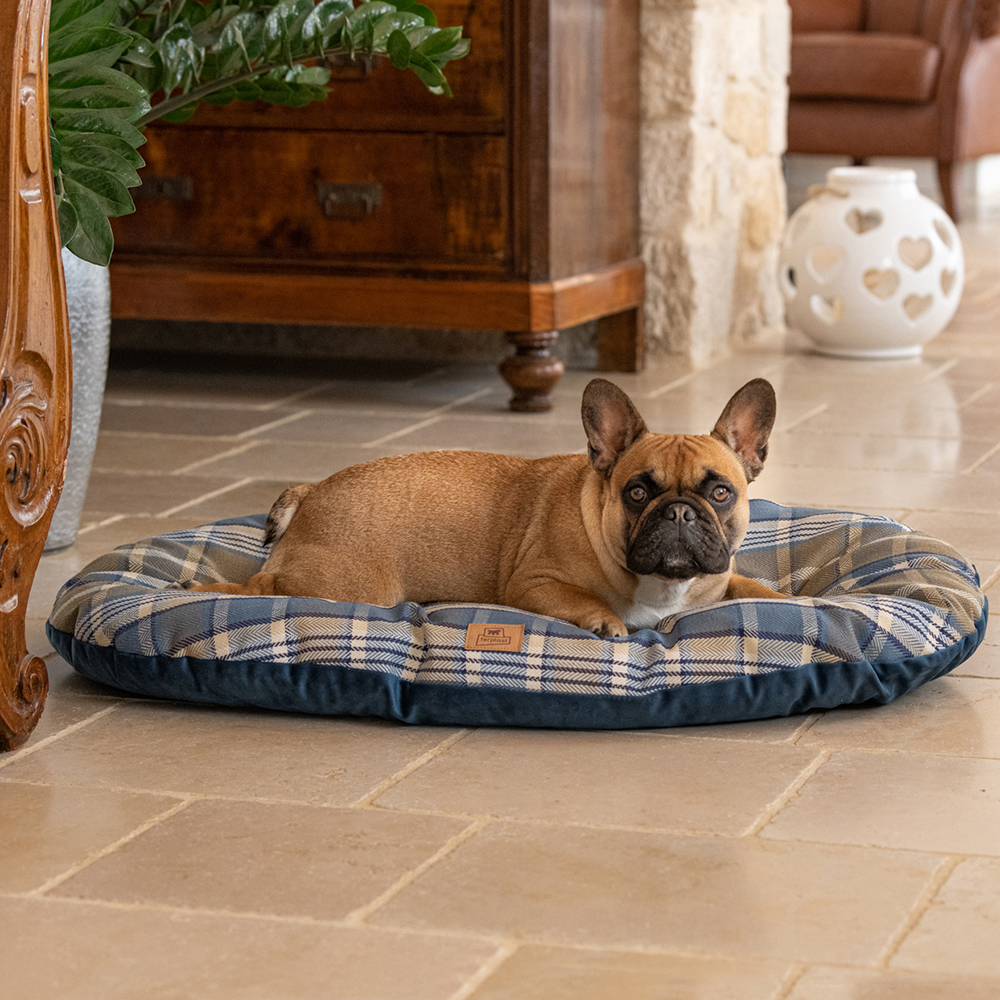 Coussin rembourré pour chiens et chats scott 89/10, double-face, écossais, velours doux, lavable, bleu