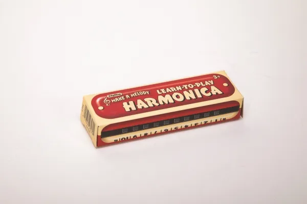 Mundharmonika Schylling Learn-To-Play