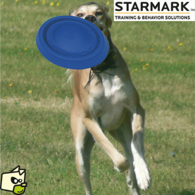 Frisbee Easy Glide Durafoam Starmark en mousse pour chien