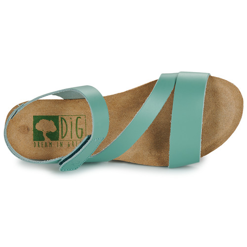 Dream in Green - ZIMINI - bleu