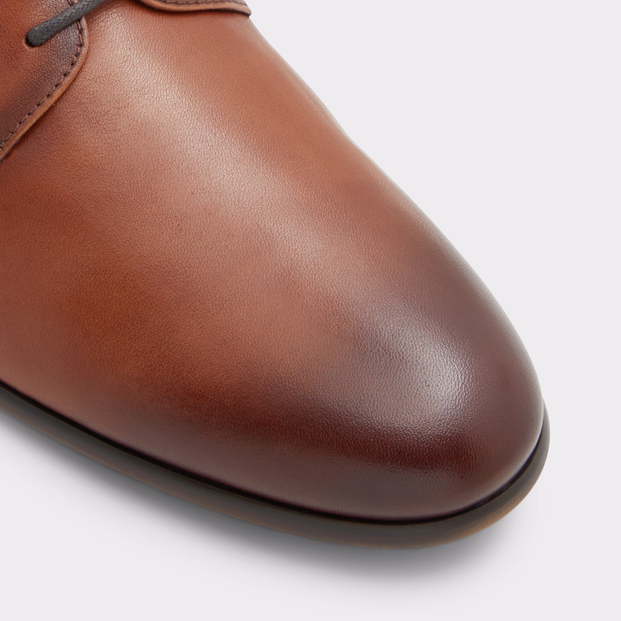 Edinburgh Cognac Men Dress Shoes