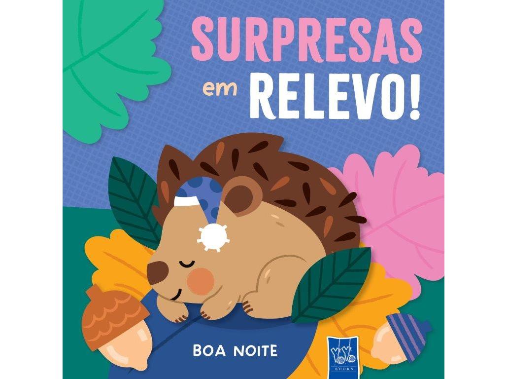 LIVRO SURPRESAS EM RELEVO! BOA NOITE