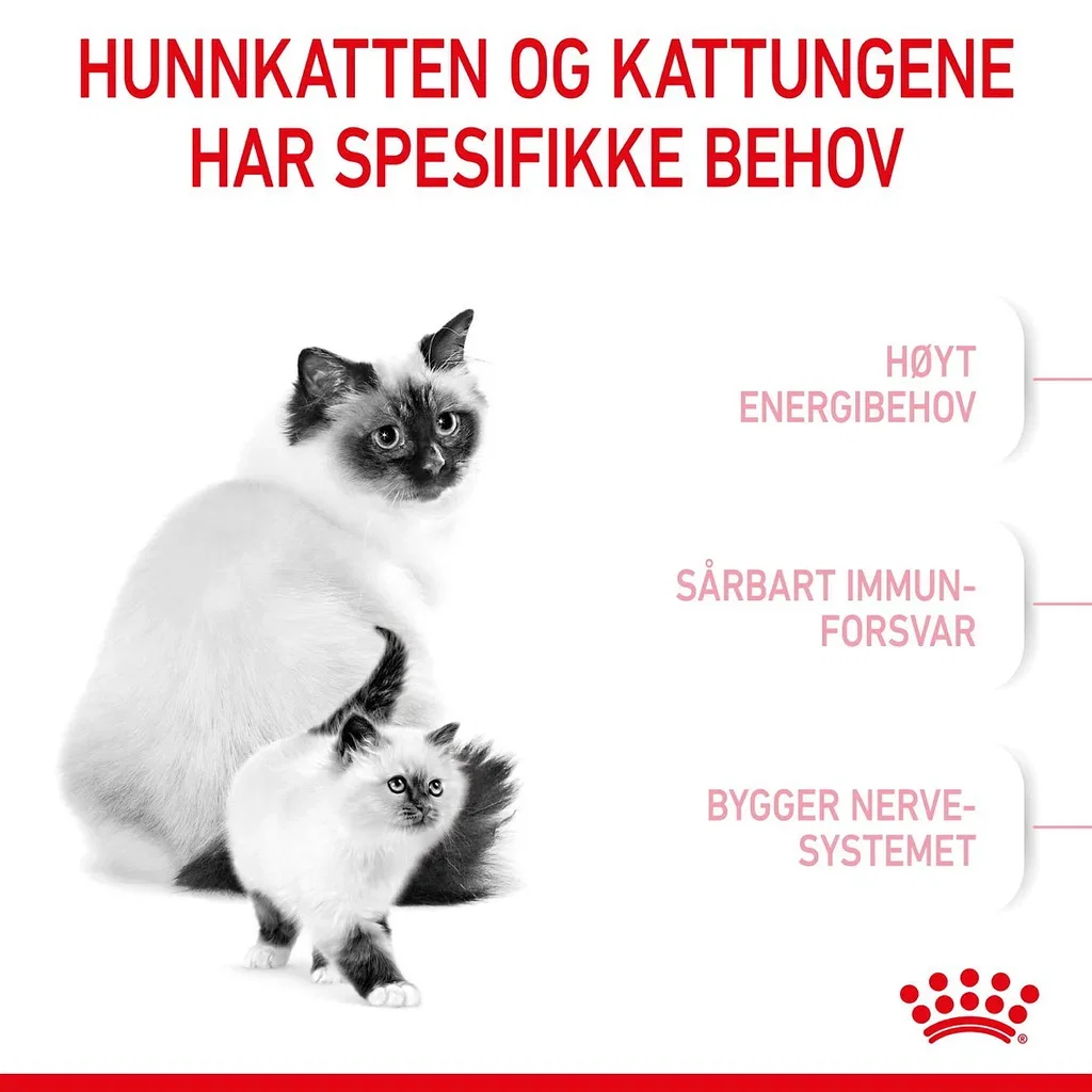 Royal Canin Royal Canin Mother & Babycat 4 kg