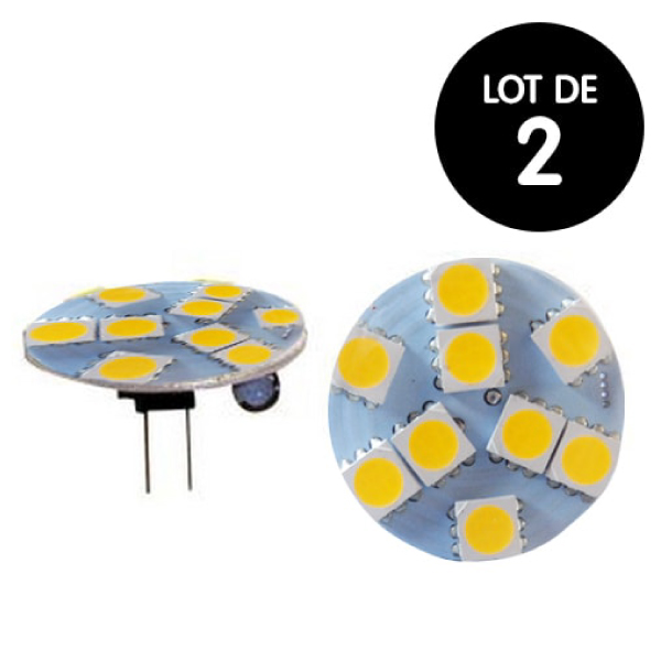 Lot de 2 Ampoules LED G4 PM