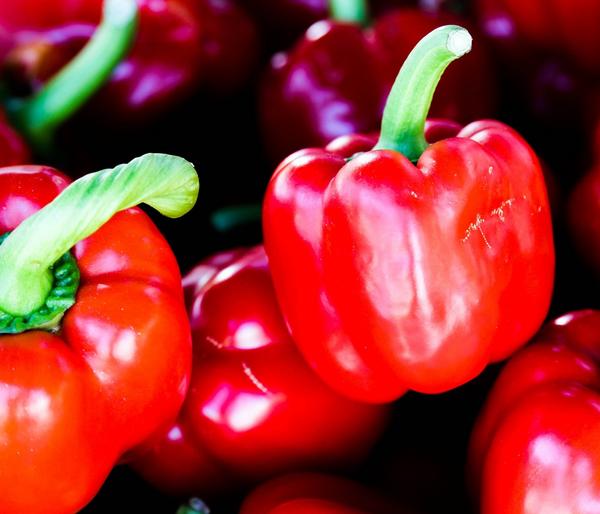 Bioland Paprika, rot