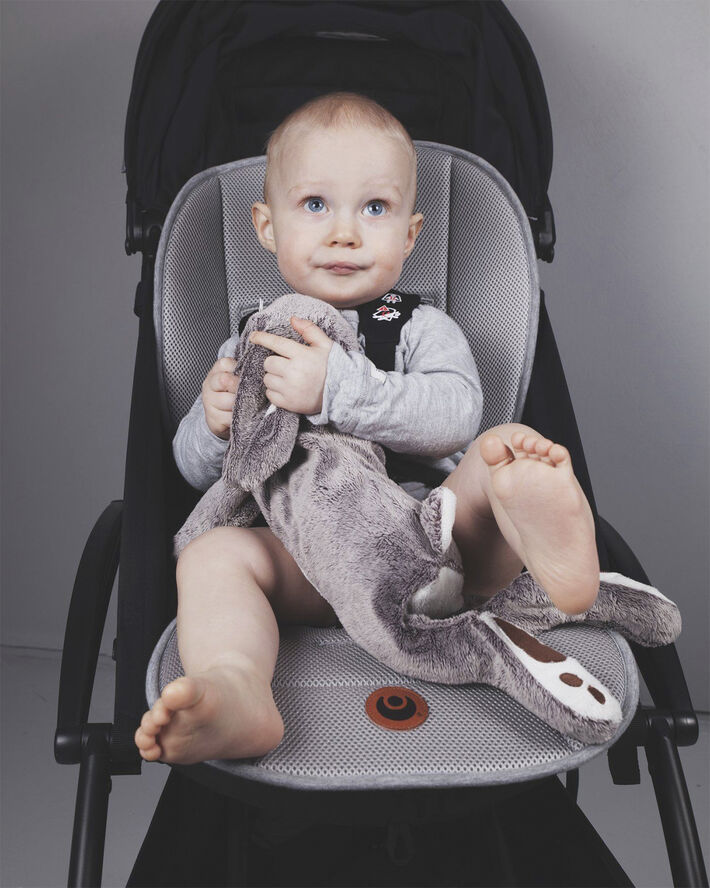 Easygrow Easygrow Air inlay Stroller Grey