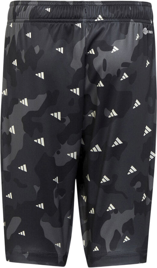 adidas Essentials Seasonal Aeroready AOP Regular Fit shorts Sort