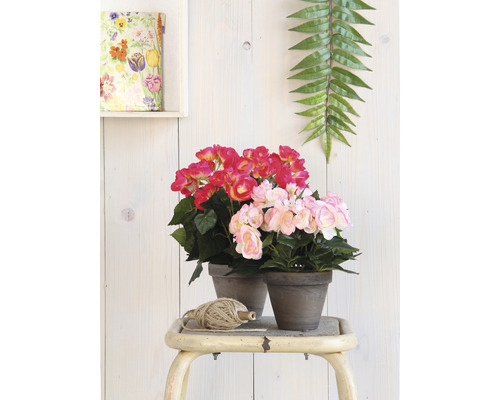 Kunstbloem begonia Ø 25 H 30 cm roze