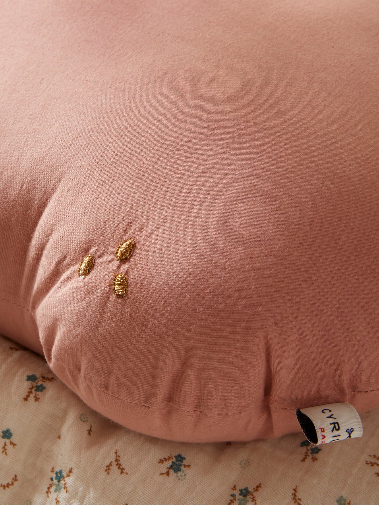 Coussin fruit en coton