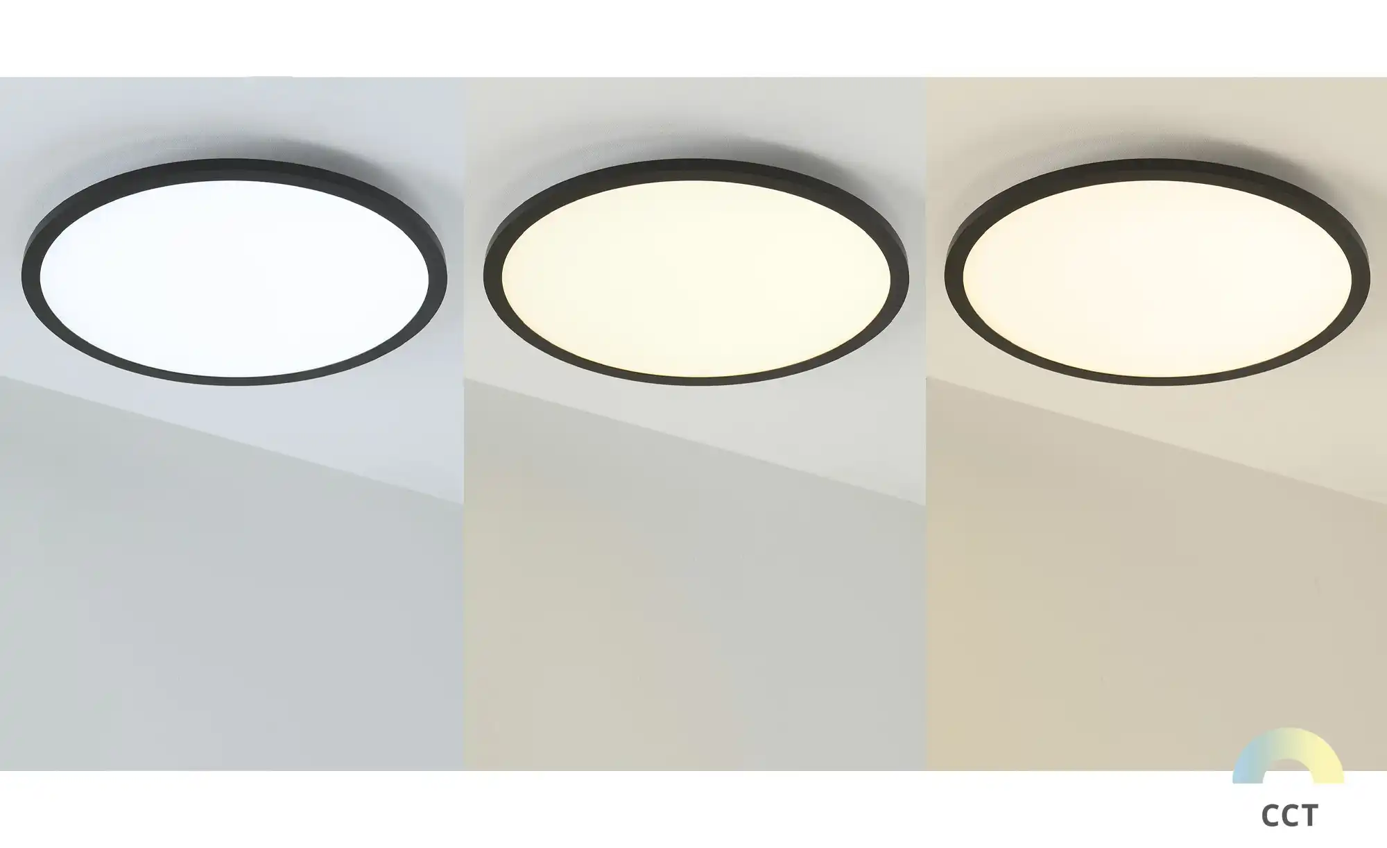 Paul Neuhaus LED-Deckenleuchte, Schwarz, rund