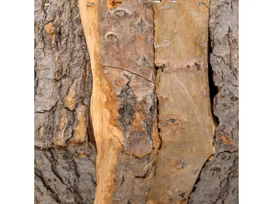 Ensemble de 2 paniers en bois marron