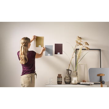 Histor color tester RAL 9003