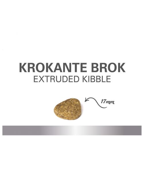 Prins Procare Croque Senior Lam&Rijst - Hondenvoer
