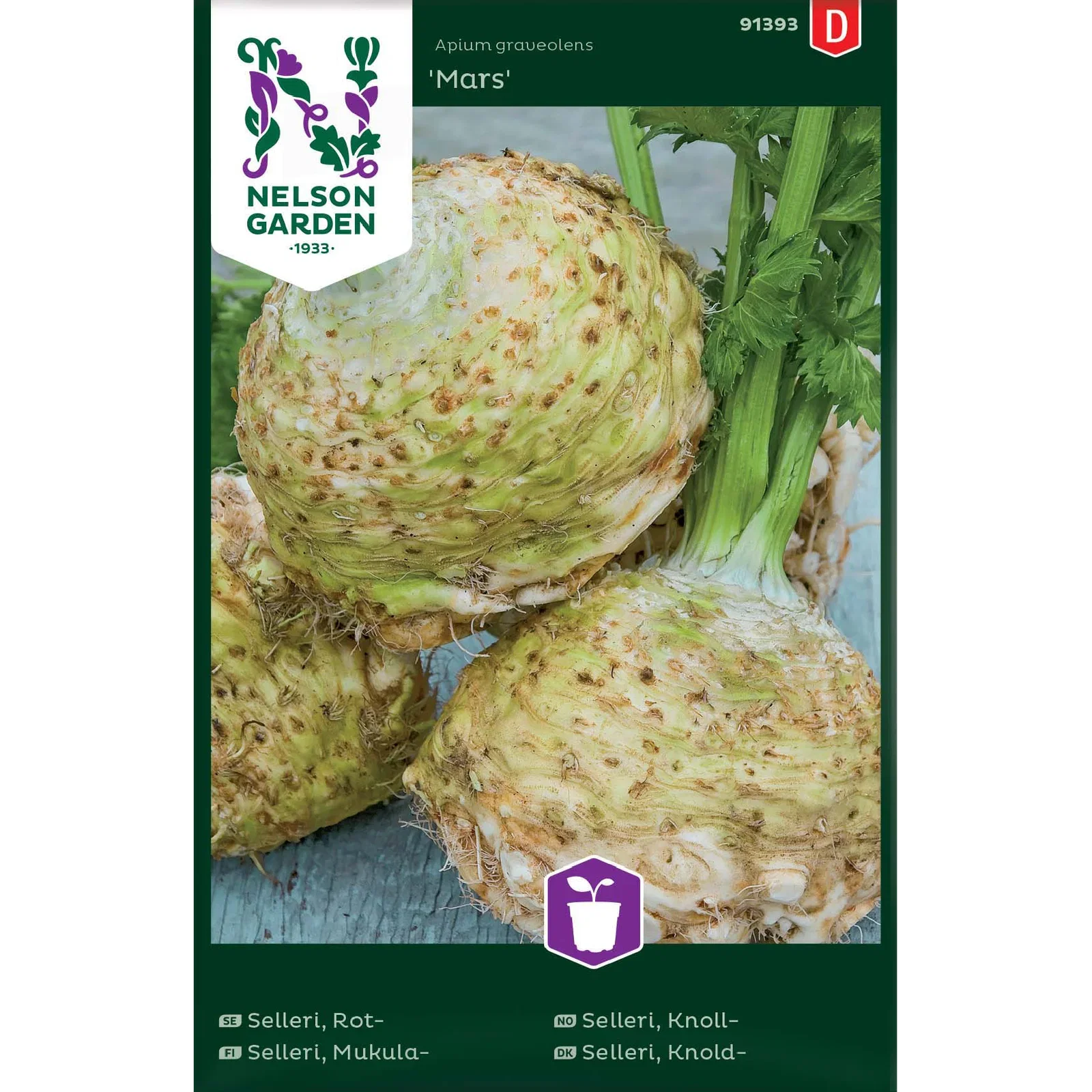 Apium graveolens 'Mars' Knollselleri 'Mars'