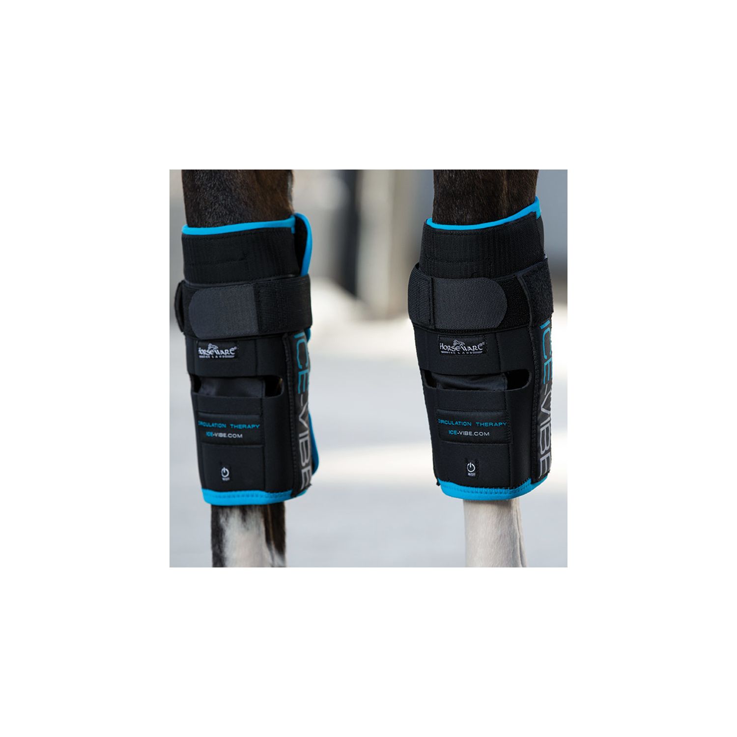 Horseware Ice-Vibe Vorderfußwurzelgelenk-Gamaschen  - schwarz - WB