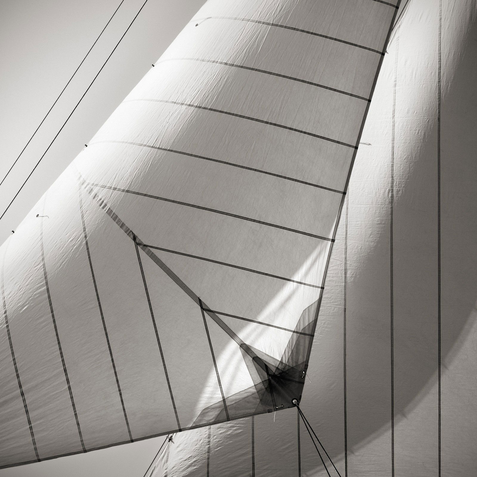 Bona Fide by Jonathan Chritchley - Limited Edition. Edition of: 100. Signed.